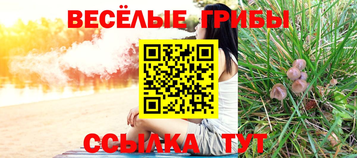 Родники  Галлюциногенные грибы GOLDEN TEACHER  Вход с VPN 