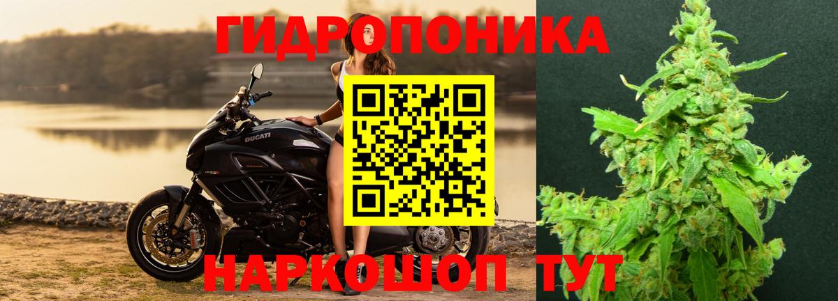 Марихуана AK-47  Бошки Шишки марихуана  Родники  Вход с VPN 